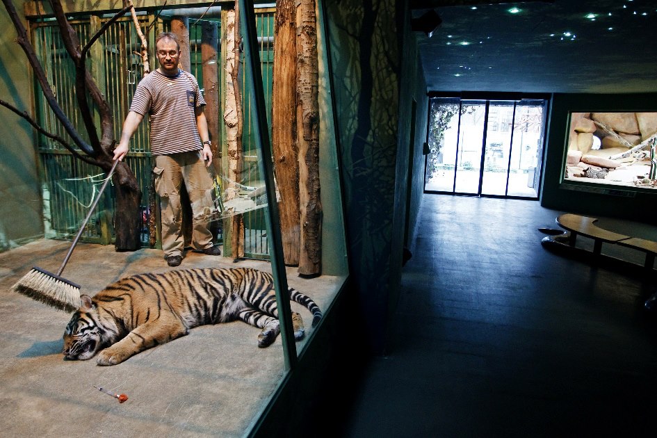 Foto (c) Tomáš Adamec, Zoo Praha